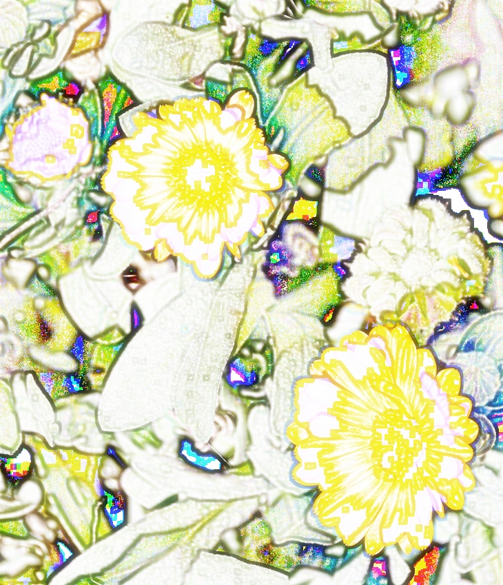 El secreto de la boticaria (2021)