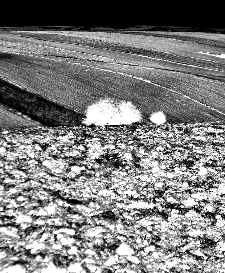 John Steinbeck (1902-1968)