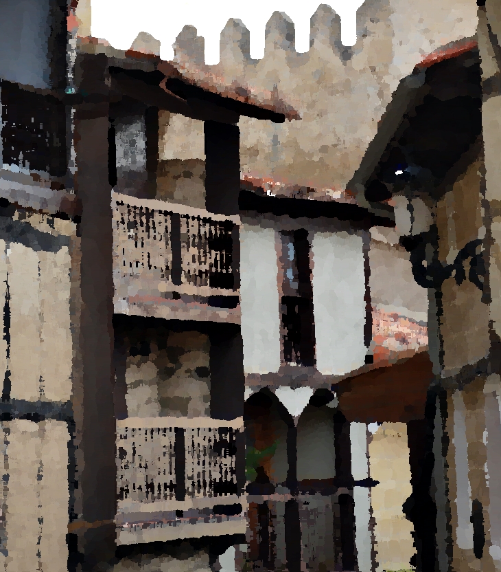 Tracy Chevalier  (1962)