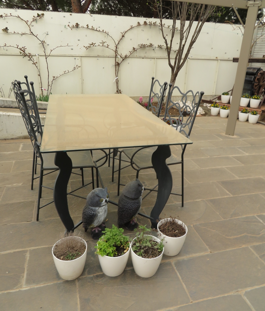 Un pedacito de desierto&nbsp;(20220316)