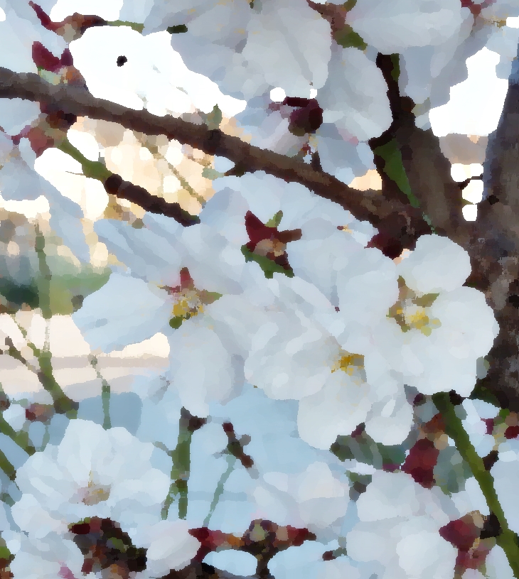 La institutriz silenciosa&nbsp;(2010)