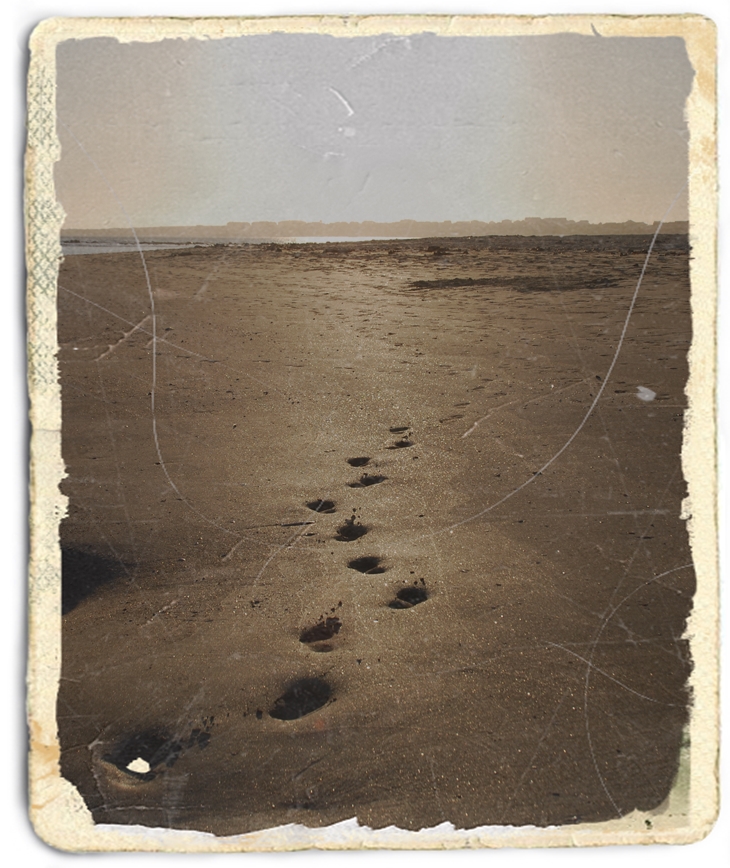 Maldad bajo el sol&nbsp;(1941)