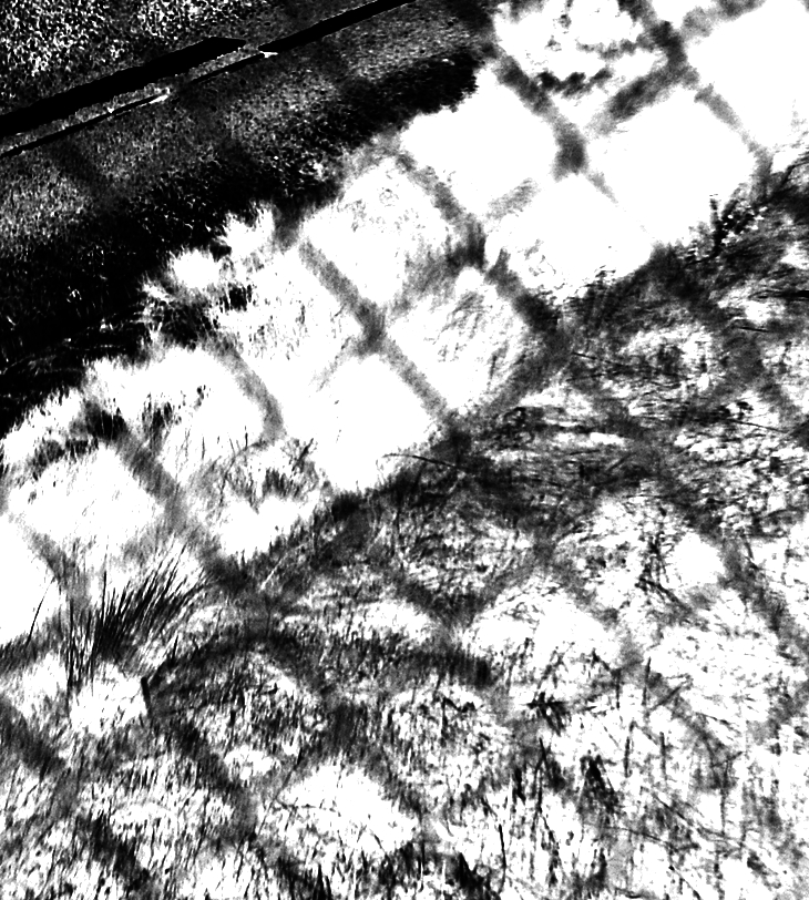 Jean François Steiner&nbsp;(1938)