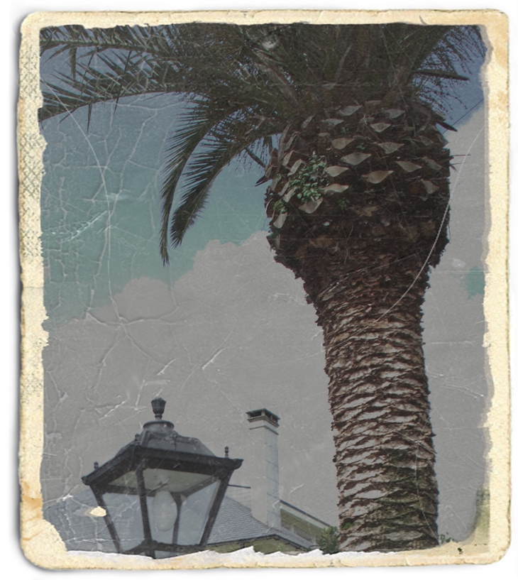 Misterio en el Caribe&nbsp;(1964)