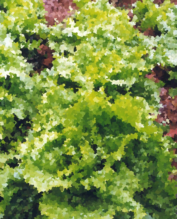 El huerto de Emerson (2021)