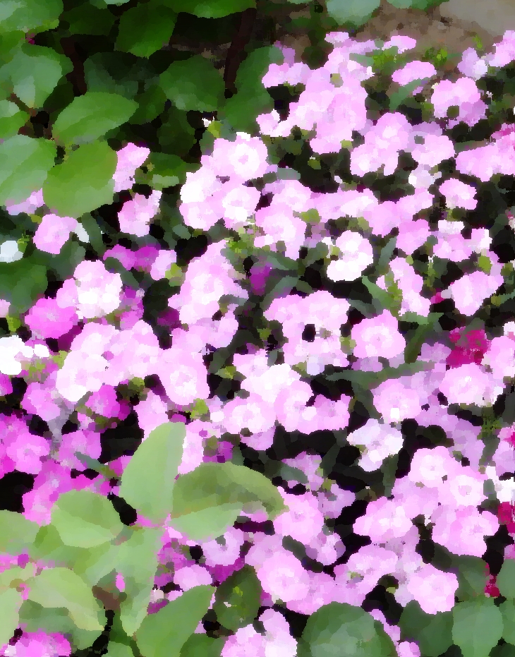 Jana Westwood (1992)