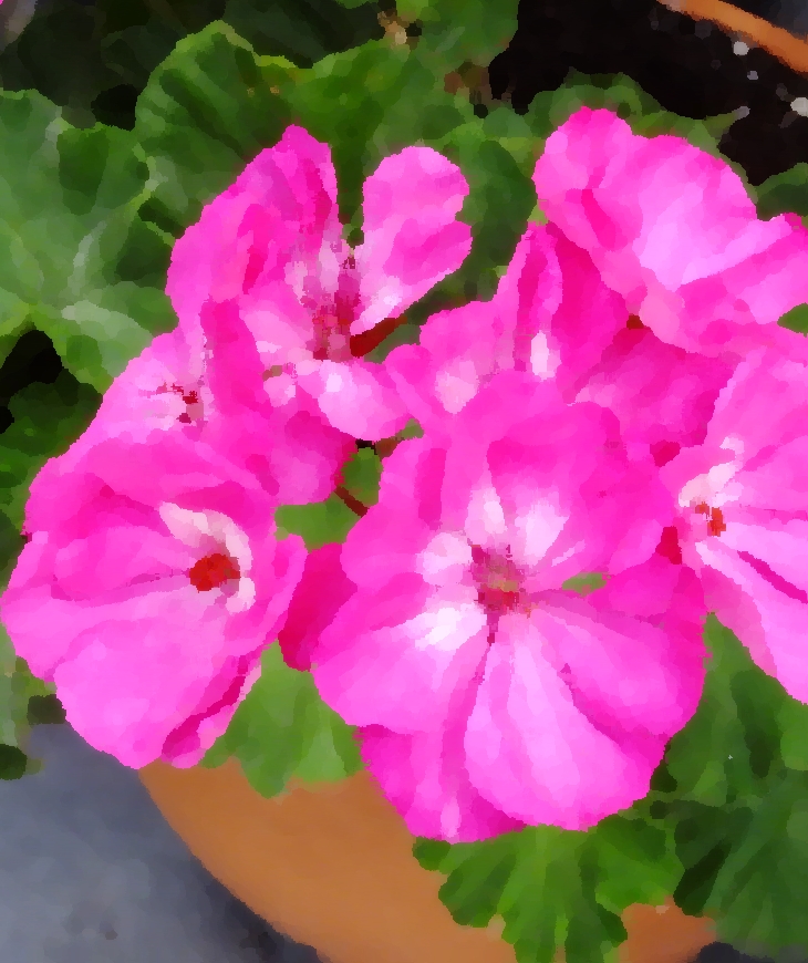 La rosa de Hereford&nbsp;(2021)