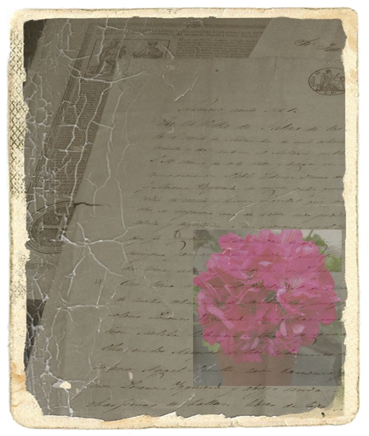 Manual para damas sobre el cotilleo y el asesinato (2019)