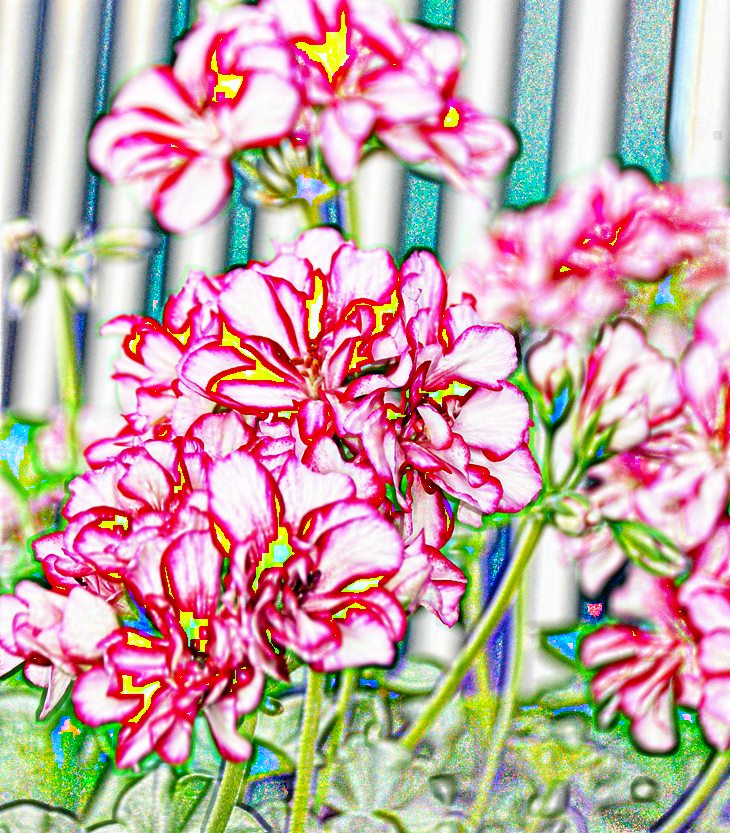 La diversión de desafiar a lord Herbert&nbsp;(2022)