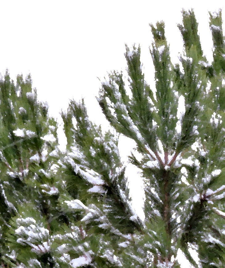 El día que dejó de nevar en Alaska&nbsp;(2017)