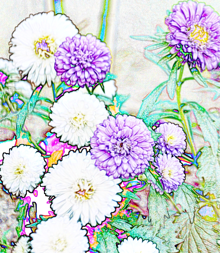 Ruth M. Lerga&nbsp;(1977)