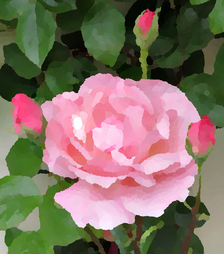 Los buscadores de conchas (1987)