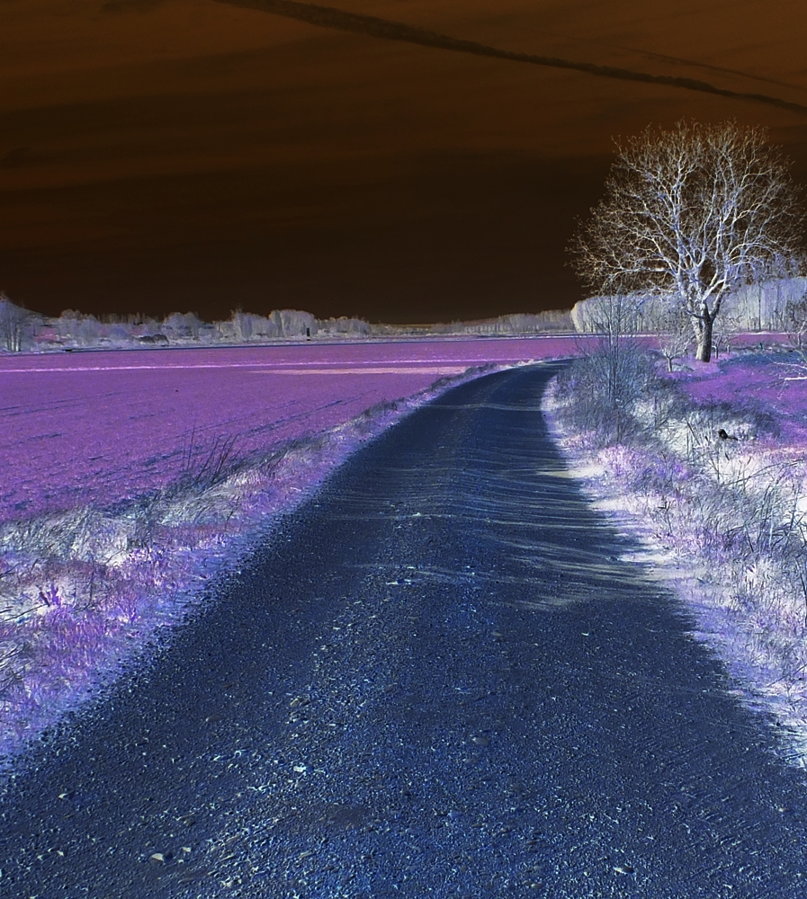 Maisie Dobbs: Una detective con intuición (2003)