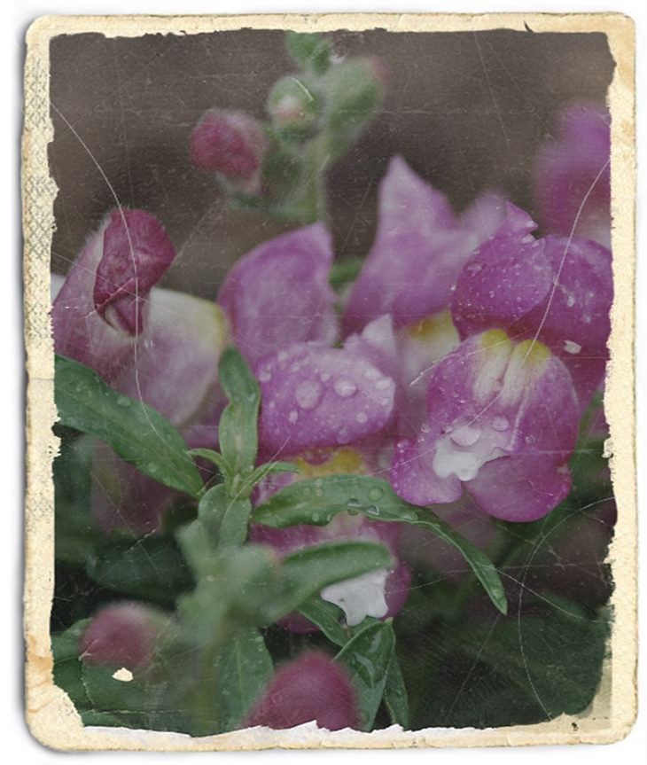 La tercera muchacha&nbsp;(1966)