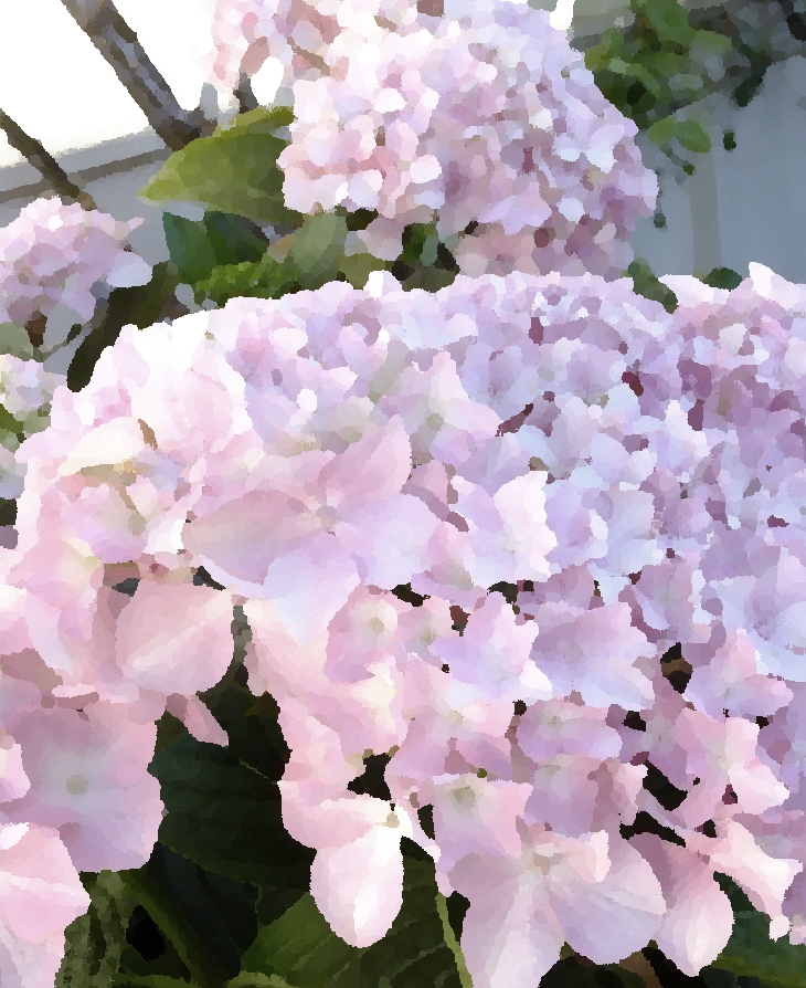 La casa de las magnolias&nbsp;(2022)