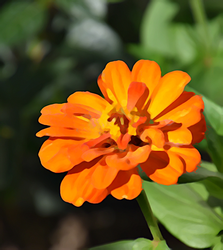 Manual para damas cazafortunas&nbsp;(2022)