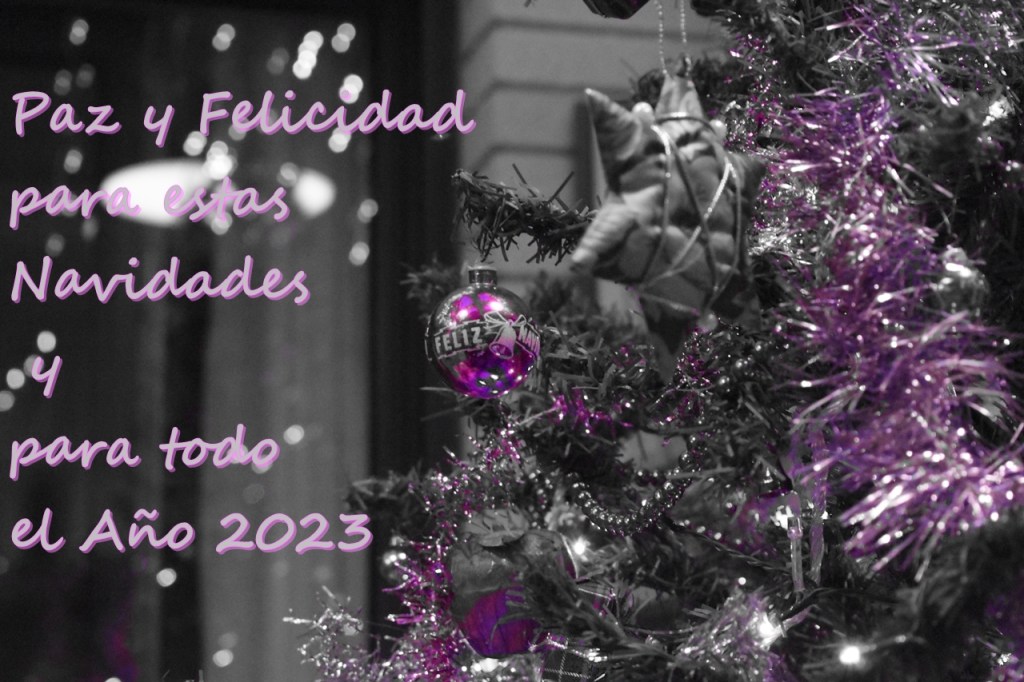 FELIZ NAVIDAD 2022