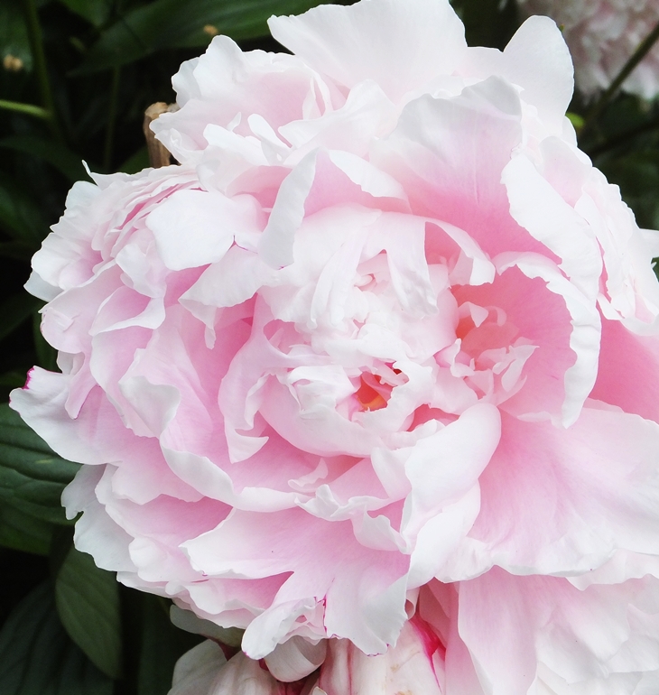 Judit Fernández (1990)