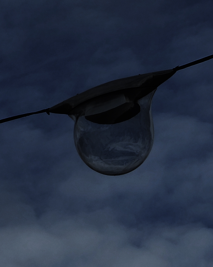 Un árbol de noche y otros relatos&nbsp;(1945-1951)