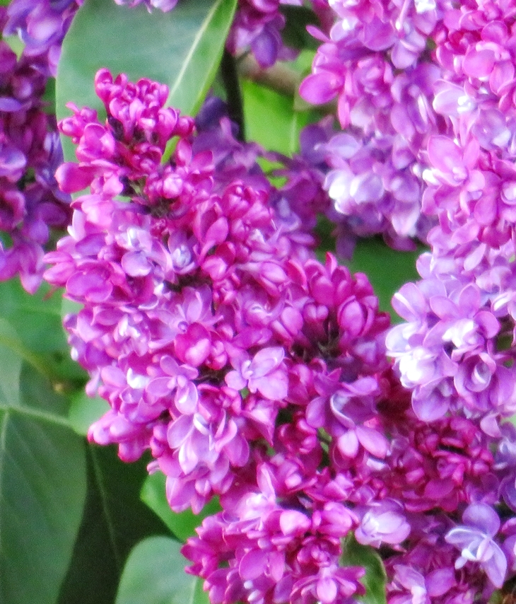 Kristi Ann Hunter&nbsp;(1970?)