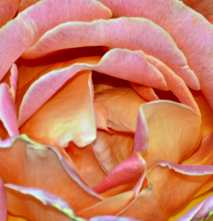 Helen no puede dormir&nbsp;(2013)