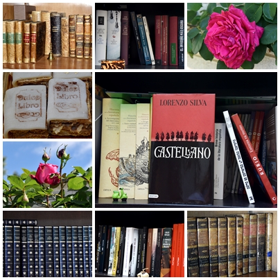 Feliz Día de Castilla y León. Feliz Día del Libro.&nbsp;2023.