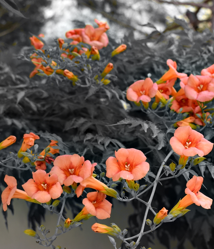 Las crónicas de Emmy Lake&nbsp;(2021)