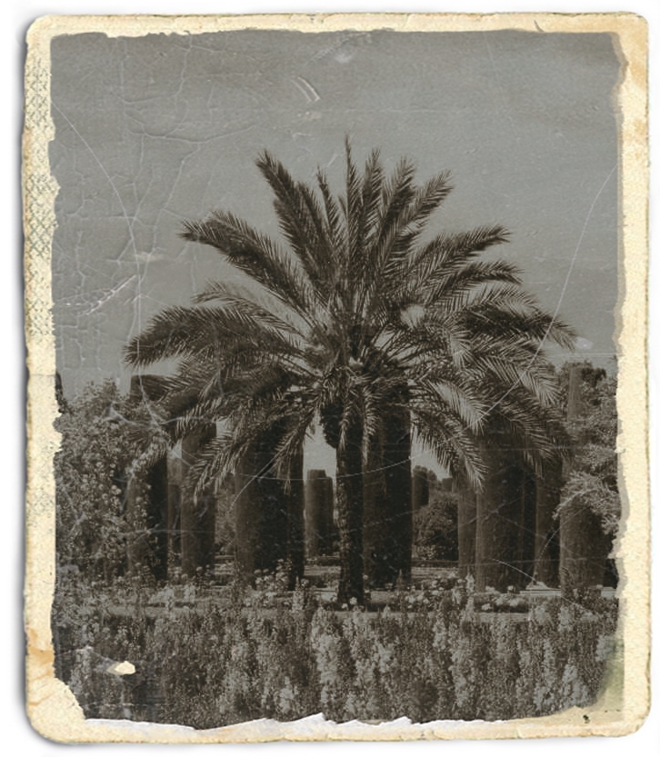 Destino desconocido (1955)