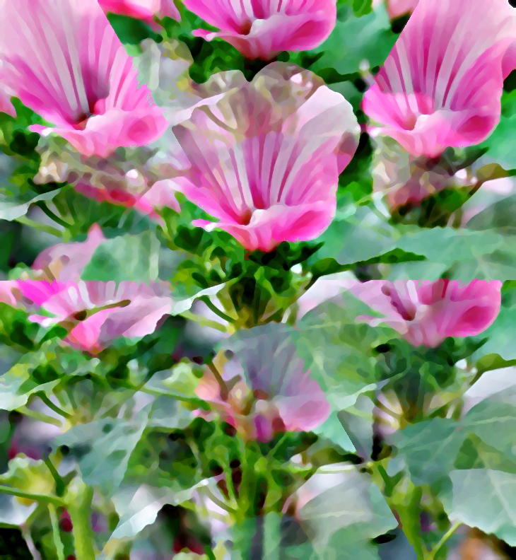 Marta Gracia Pons&nbsp;(1988)