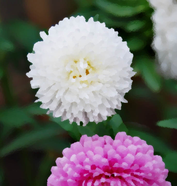 Los vecinos de lady Chester&nbsp;(1859)