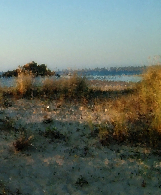 Elly Griffiths (1963)