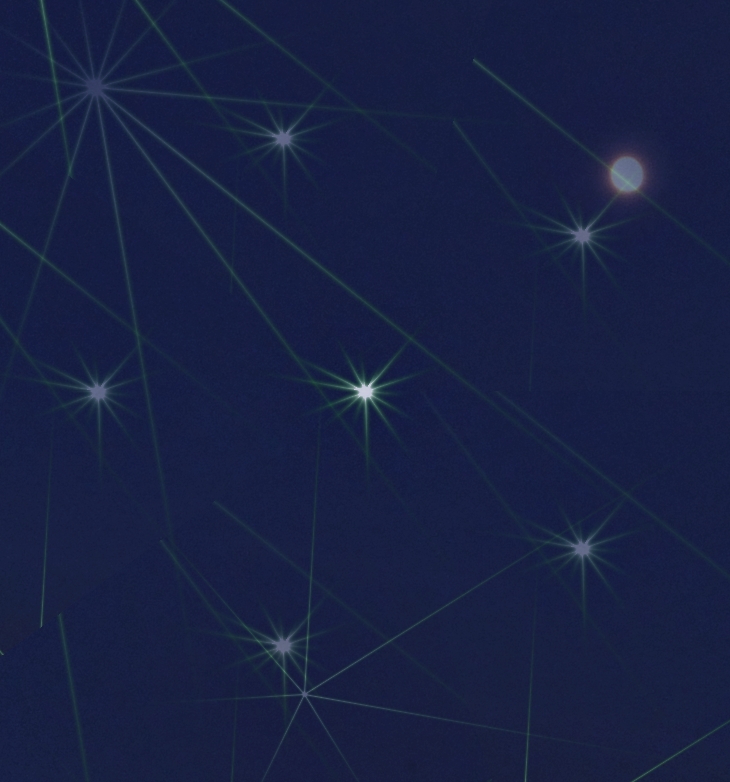 Madeline Martin (1980?)