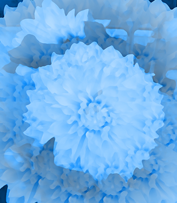 El año del frío (2018)