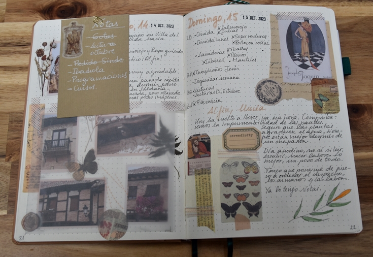 Diarios creativos (2023)