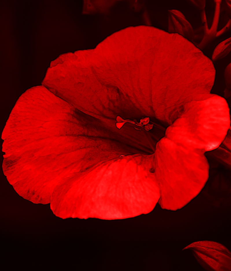 Agujas de papel&nbsp;(2017)