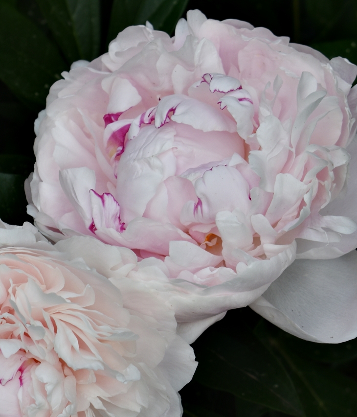 Esther Hatch (1980?)