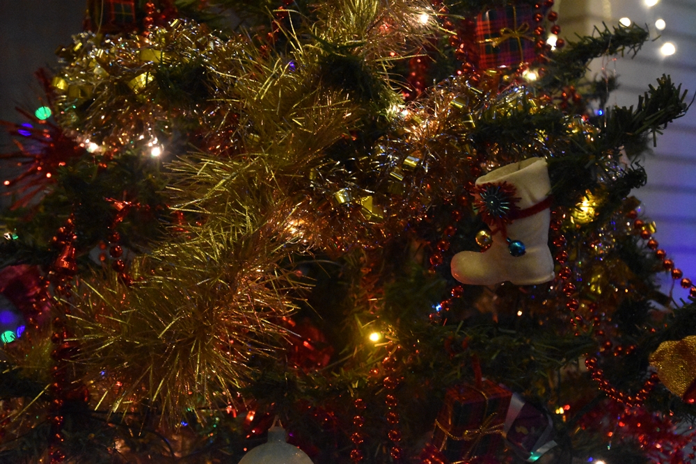 Navidad 2023. Nuestros&nbsp;árboles.