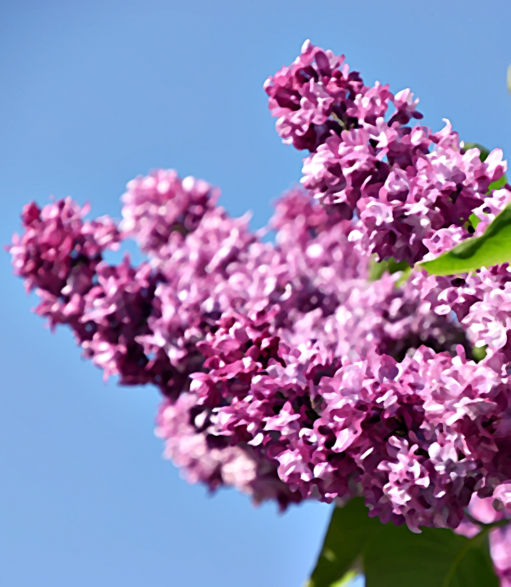 Volver a creer&nbsp;(2019)