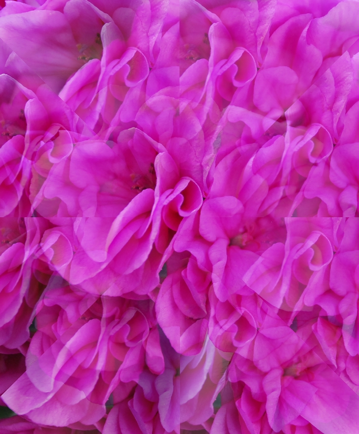 Nunca te enamores de tu prometida&nbsp;(2021)