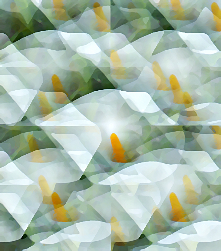 La casa de las flores blancas (2021)