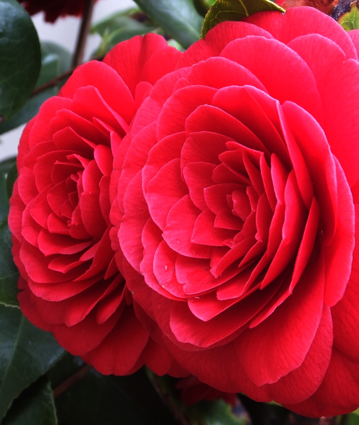 En tus tacones&nbsp;(2023)