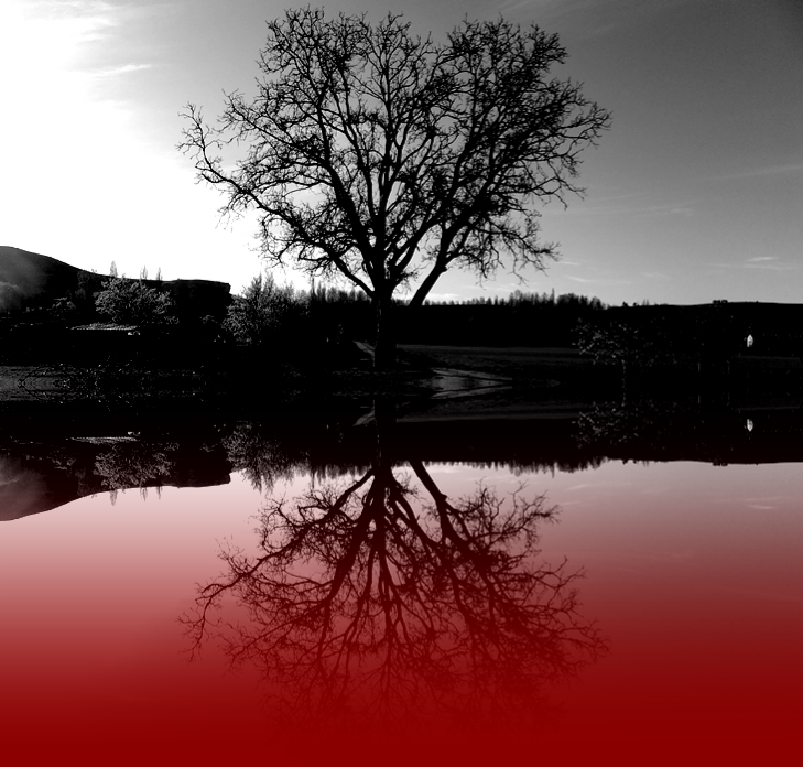 William Golding (1911-1993)