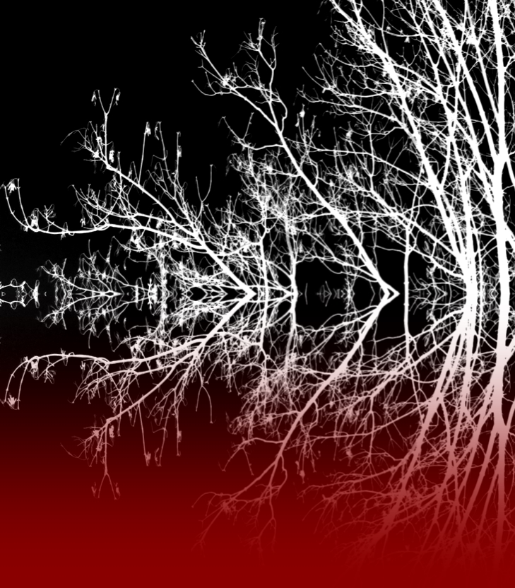 El señor de las moscas&nbsp;(1954)