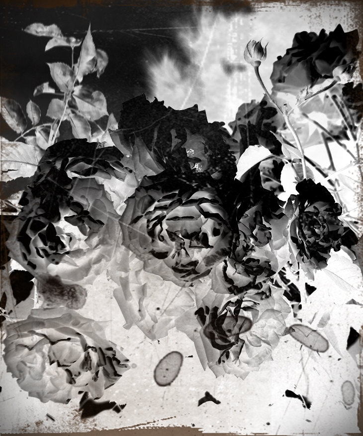 Anita Blackmon (1892-1943)