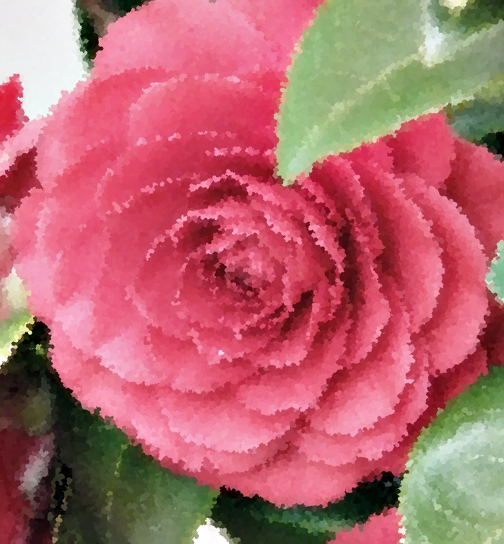 Amara Castro Cid&nbsp;(1975)