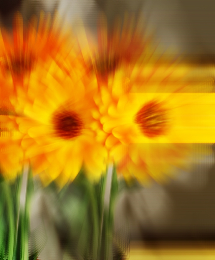 Bonnie Garmus (1957)