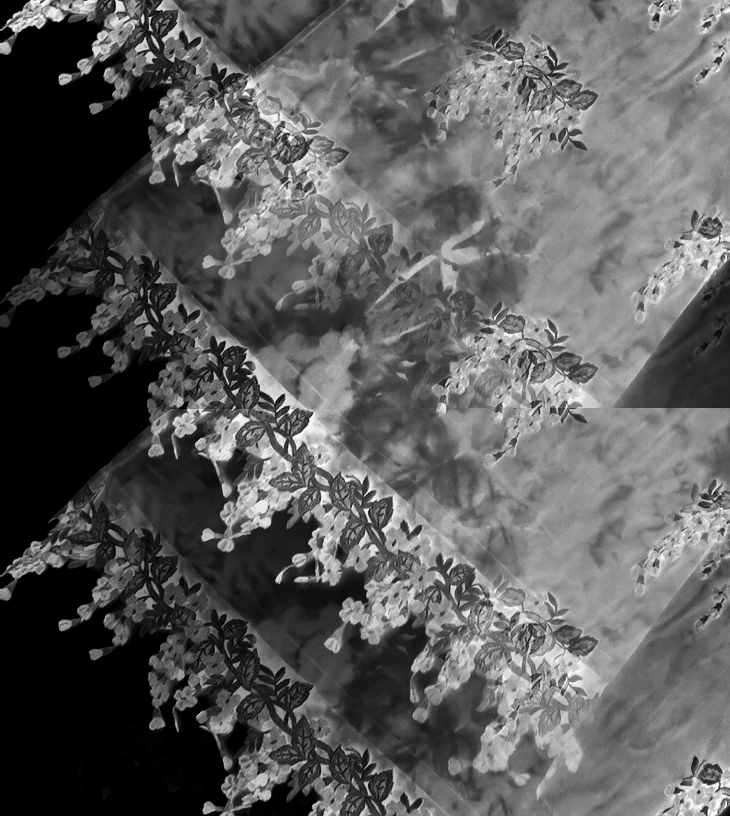 Carmen de Burgos&nbsp;(1867-1932)