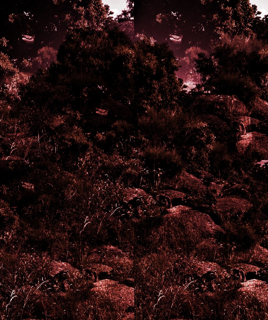 Huérfanos de sombra&nbsp;(2023)