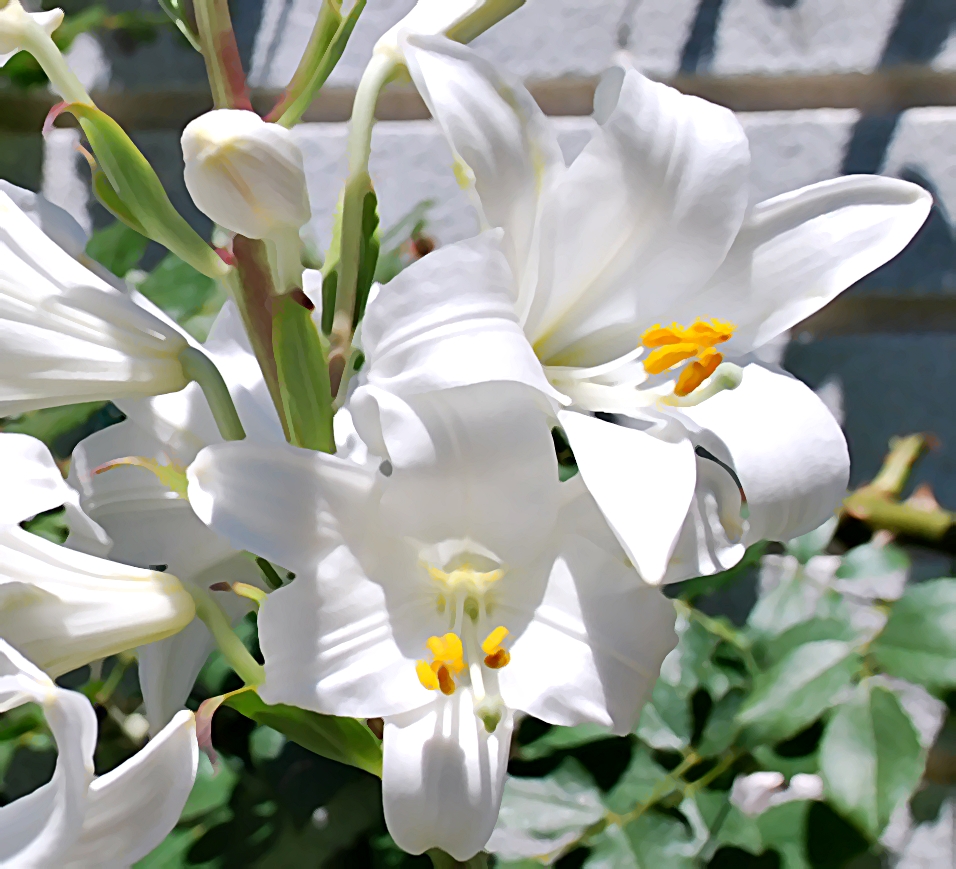 El beso de un extraño&nbsp;(2011)