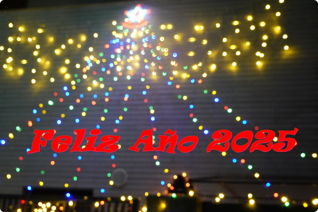 ¡¡¡Feliz Año 2025!!!